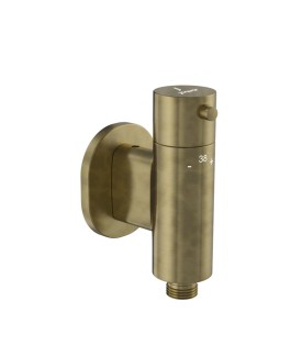 1 Outlet Thermostatic valve for Douche Trim Kit - Antique Bronze
