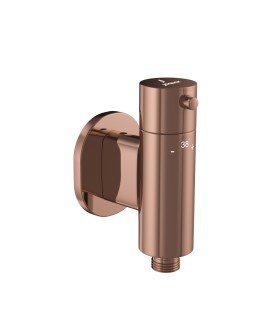 1 Outlet Thermostatic valve for Douche Trim Kit - Blush Gold PVD