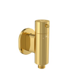 1 Outlet Thermostatic valve for Douche Trim Kit - Gold Bright PVD