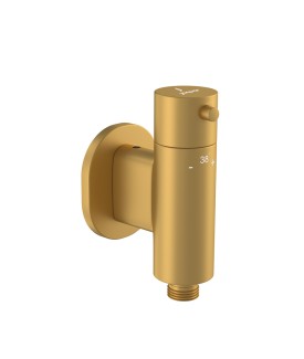 1 Outlet Thermostatic valve for Douche Trim Kit - Gold Matt PVD