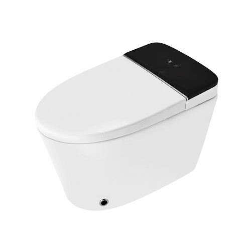 Fully Automatic Rimless Floor Mounted Toilet