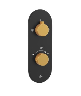 Aquamax 2 Outlet Thermostatic Shower Mixer - Gold Matt PVD | Black Matt