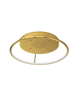 Navia RAINJOY Shower - Gold Bright PVD