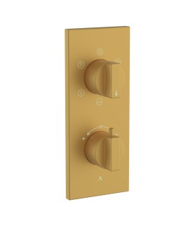 Thermatik-R In-wall Thermostatic Shower Valve with 5-Way Diverter - Gold Matt PVD