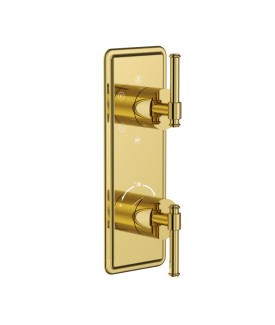 Exposed Part Kit of Thermostatic Shower Mixer with 5-way diverter - Gold Bright PVD