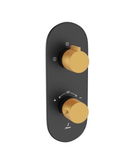 Aquamax 2 Outlet Thermostatic Shower Mixer - Gold Matt PVD | Black Matt