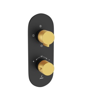 Aquamax 3 Outlet Thermostatic Shower Mixer - Gold Matt PVD | Black Matt