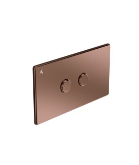 Vic Pneumatic control plate - Blush Gold PVD