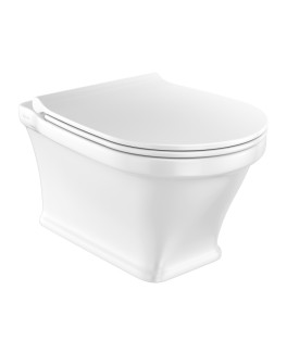 Rimless Wall Hung Toilet