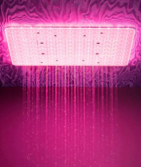 Artize Shower Heads