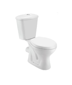 Bowl With Cistern For Coupled Toilet