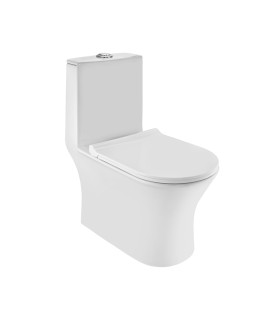 Rimless Single Piece Toilet