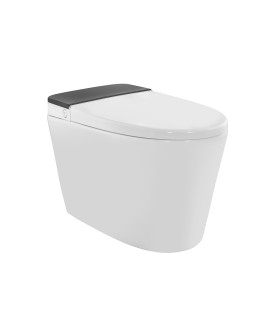 Fully Automatic Rimless Floor Mounted Toilet