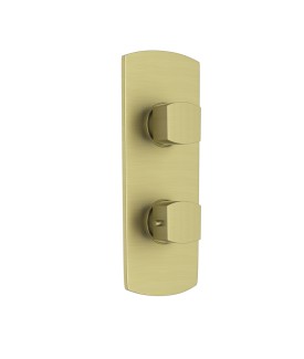 Aquamax 1 Outlet Thermostatic Shower Mixer Trim Kit - Brass Matt