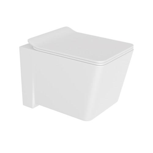 Rimless Blind Installation Wall Hung Toilet