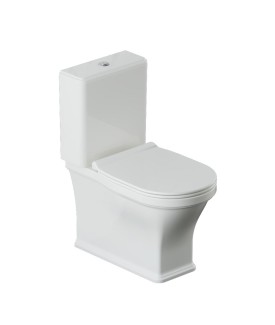 Rimless Bowl With Cistern For Coupled Toilet