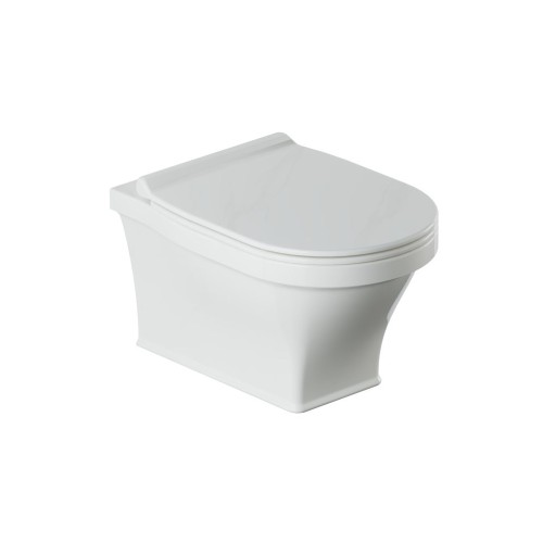 Rimless Wall Hung Toilet