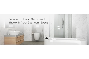 benefits of concealed showers