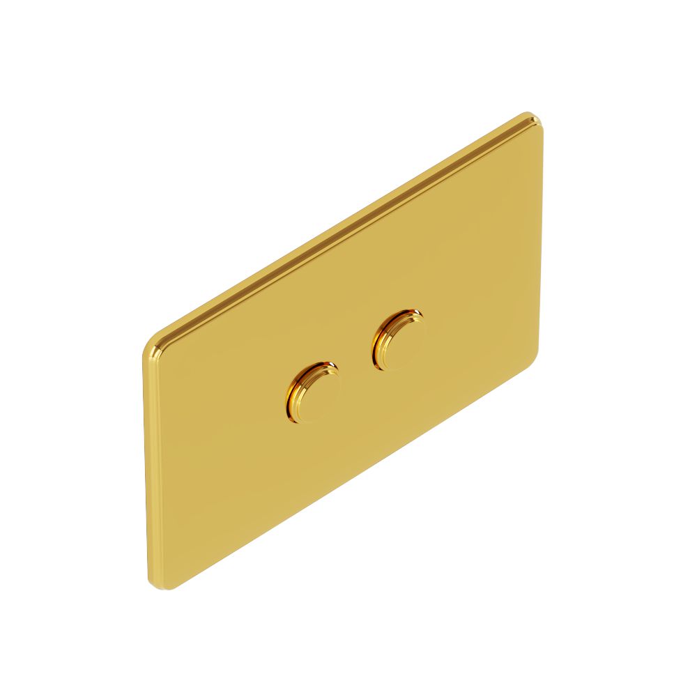 Vic Pneumatic control plate-Gold Bright PVD