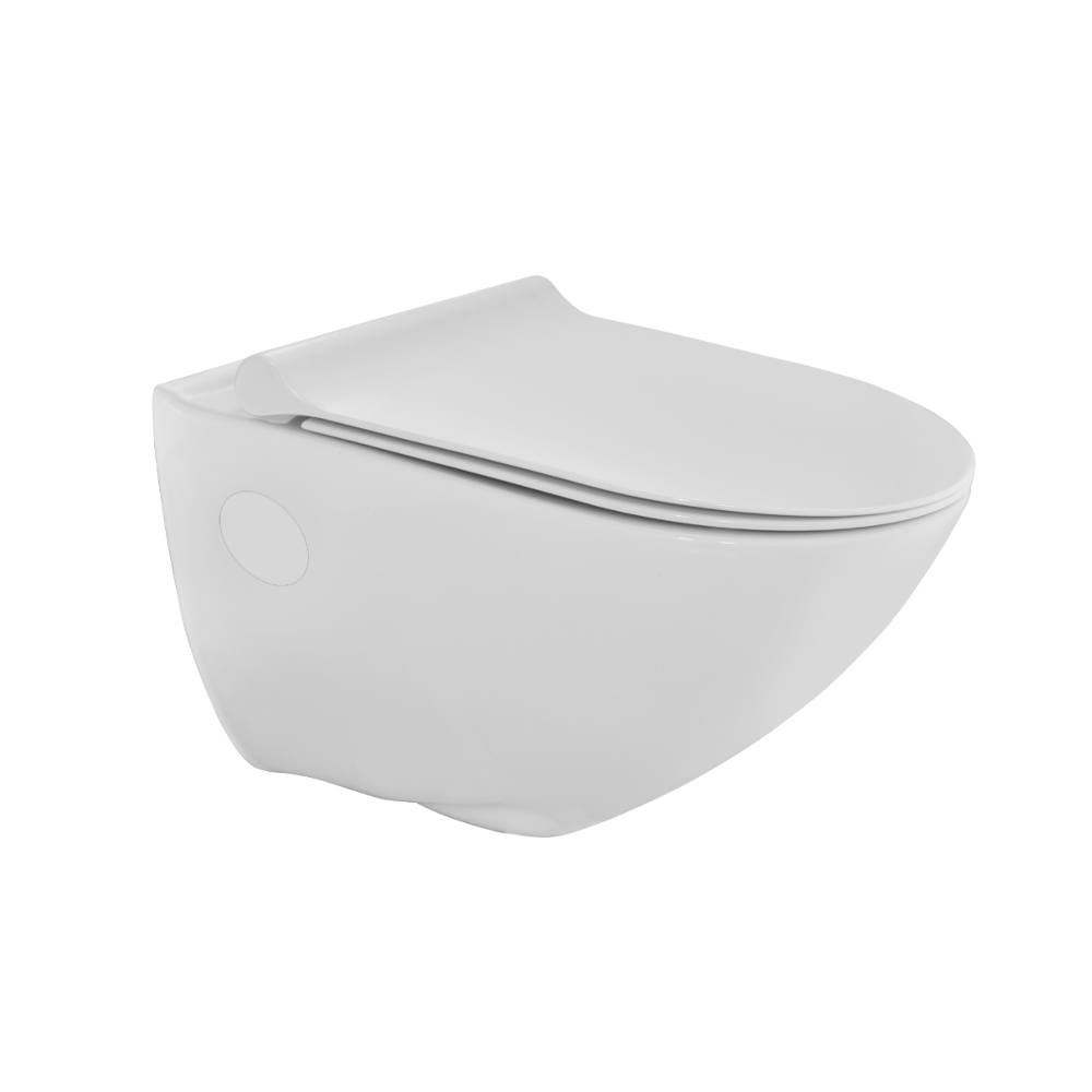 Rimless Wall Hung WC