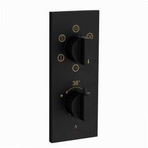 Thermatik-R In-wall Thermostatic Shower Valve with 5-Way Diverter-Black Matt