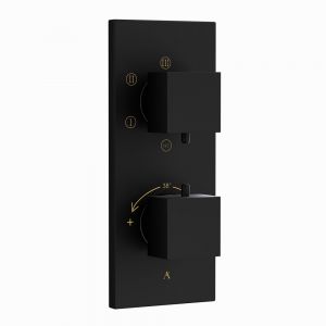 Thermatik-S In-wall Thermostatic Shower Valve with 5-Way Diverter-Black Matt