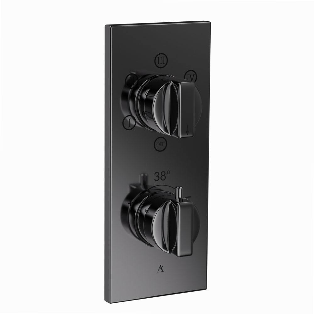 Thermatik-R In-wall Thermostatic Shower Valve with 5-Way Diverter-Black Chrome